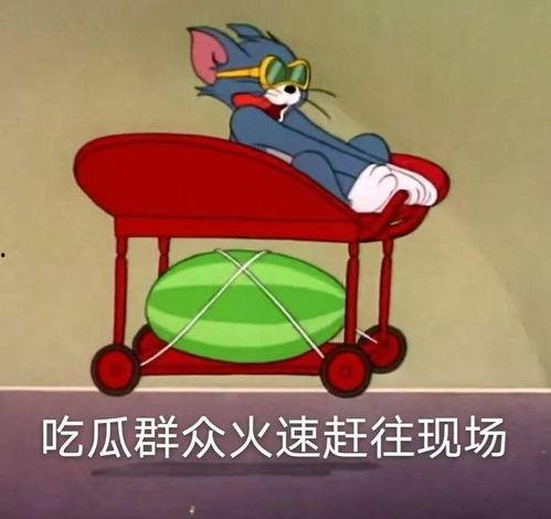 吃瓜杨六,揭秘娱乐圈背后的故事