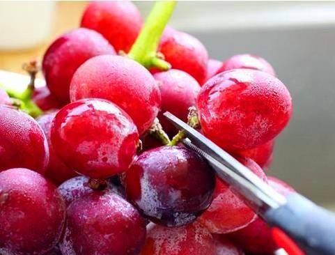 黑皮瓜连皮吃,黑皮瓜连皮食用的独特魅力探索