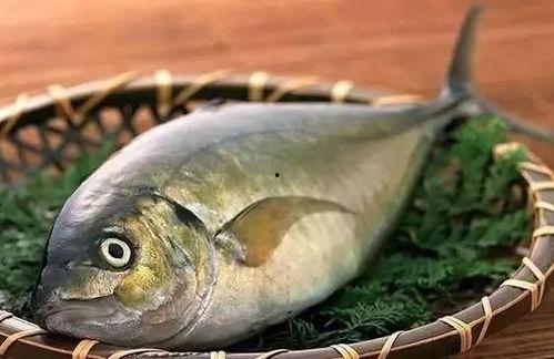 鱼圈吃瓜战打开,一场网络狂欢背后的真相与反思