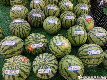 反吃瓜联盟,网络舆论新势力崛起