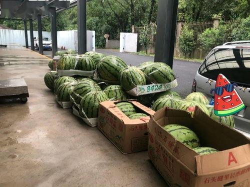 吃瓜上海中铁,吃瓜群众眼中的建筑奇迹