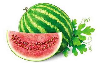 温暖冬日吃瓜,温暖冬日里的甜蜜时光