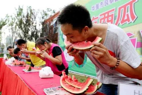 吃瓜比赛内容,一场别开生面的吃瓜比赛大揭秘