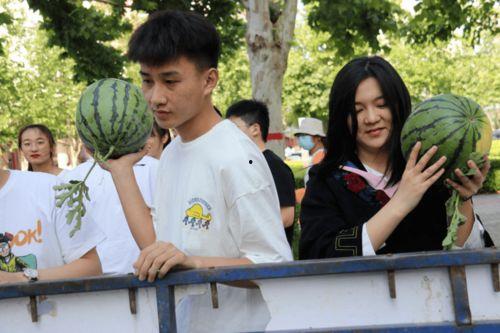 刘吃瓜观众,揭秘观众背后的故事与情感