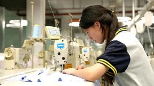 吃瓜小卒姜萍,揭秘娱乐圈幕后风云