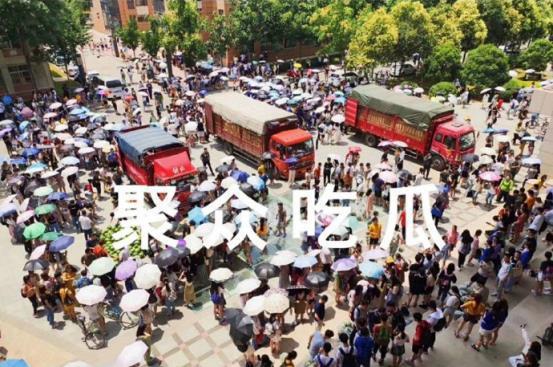 成都吃瓜大学,大学生活的多面镜