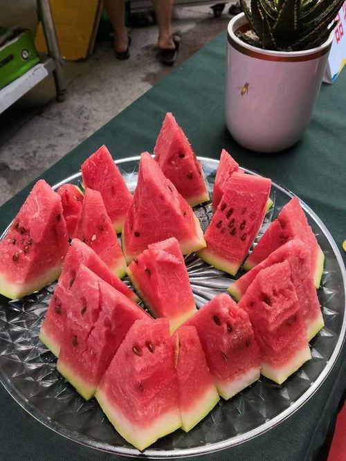 重庆吃瓜队长,重庆吃瓜队长带你领略山城美食江湖