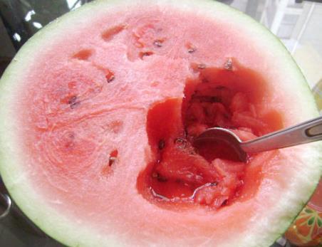 人不能总吃瓜,探索多元化营养生活