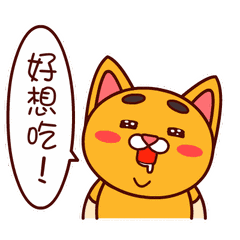 明天减肥今天吃瓜,今日尽享瓜果盛宴