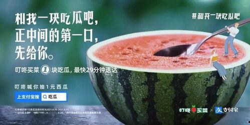 盐城酒吧吃瓜,揭秘夜生活里的八卦风云