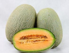 丑桔和哈密瓜能一起吃吗,探究两者同食的兼容性