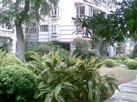 和平家园家园吃瓜,吃瓜群众的欢乐盛宴