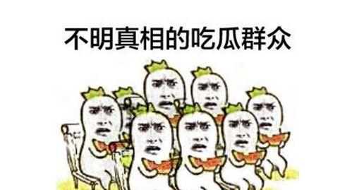 华人吃瓜群众,揭秘娱乐圈幕后真相