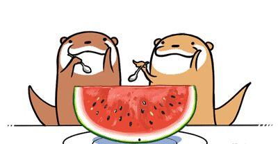 吃瓜不要打全名,吃瓜群众勿打全名