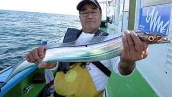 台湾吃瓜渔民图片高清,温馨画面引网友热议